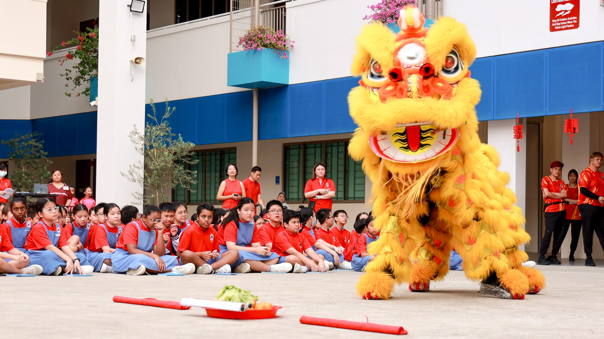 Chinese New Year Celebration
